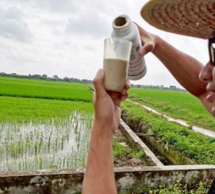 Fongicide agricole de contrôle de souffle de riz de PS de Validamycin A 20%