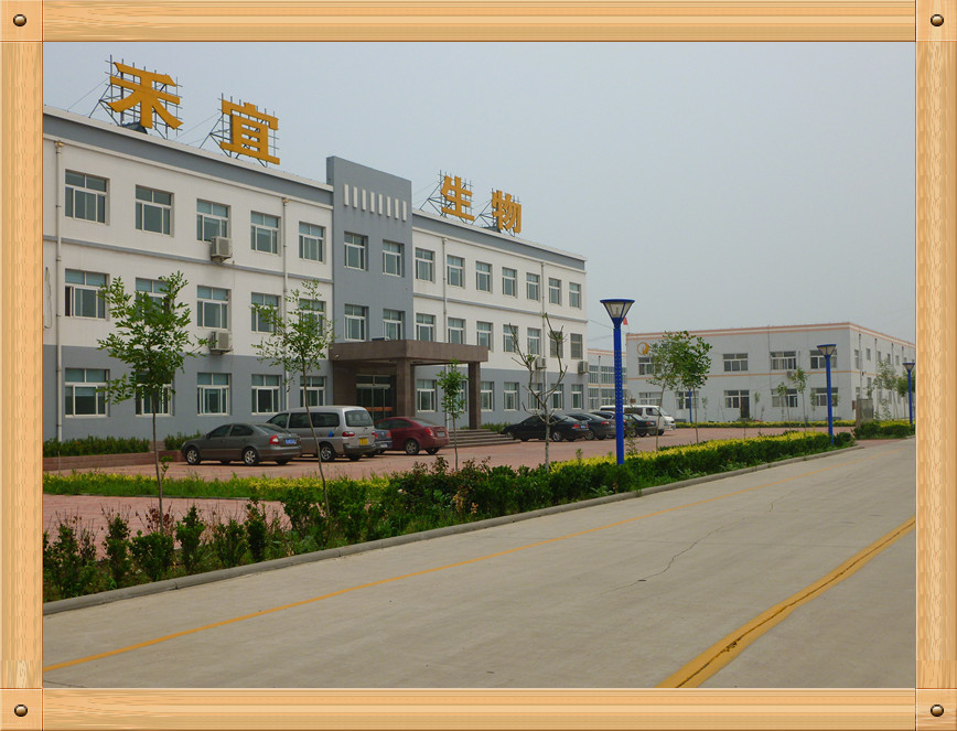 Chine Weifang Heyi Agrochemical Co.,Ltd Profil de la société