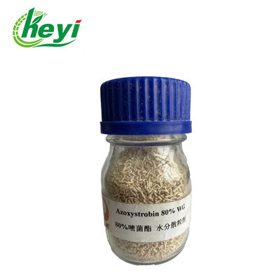 131860-33-8 fongicide du GT AZOXYSTROBIN de l'anthracnose 80% pour des usines de concombre